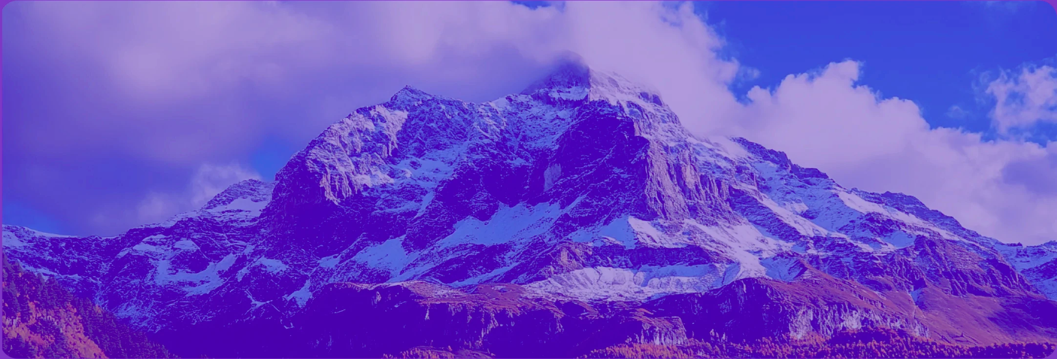 Non-Executive Director (NED) Advisory service image